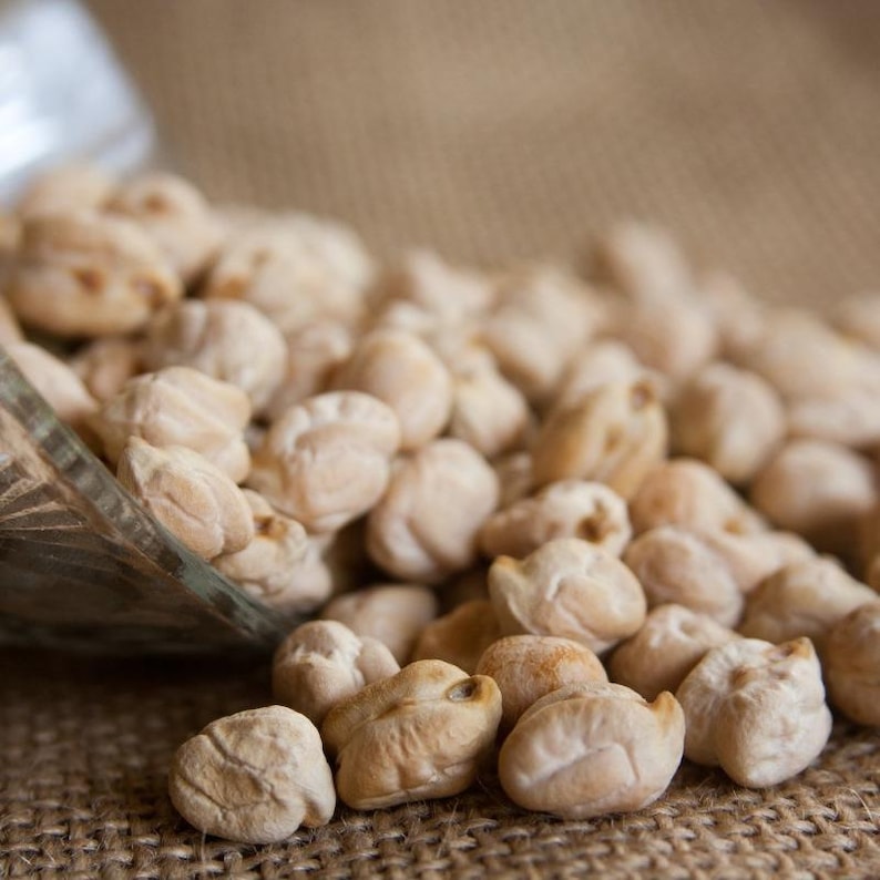 白ひよこ豆の種子、Cicer arietinum、Kabuli Chana Vegetable 25-100 画像 1