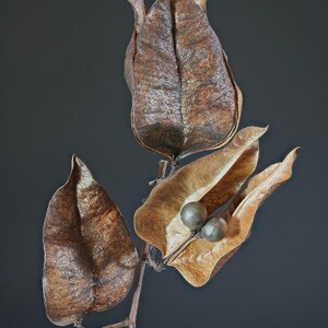 30-60 semillas de árbol de lluvia dorada, Koelreuteria paniculata, orgullo de la India, árbol barnizado, semillas de árbol ornamental con flores imagen 11
