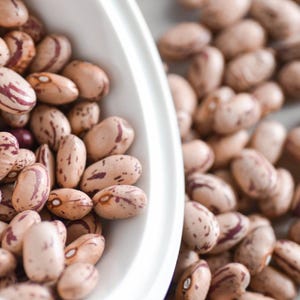10-30 semillas de frijol pinto, Phaseolus vulgaris, frijol Chitra Rajma imagen 4