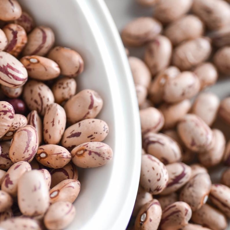 10-30 semillas de frijol pinto, Phaseolus vulgaris, frijol Chitra Rajma imagen 4