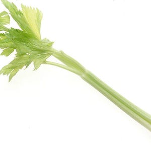 Oltre 500 semi di sedano alto dello Utah, Apium graveolens, sedano verde, ortaggio da giardino immagine 4