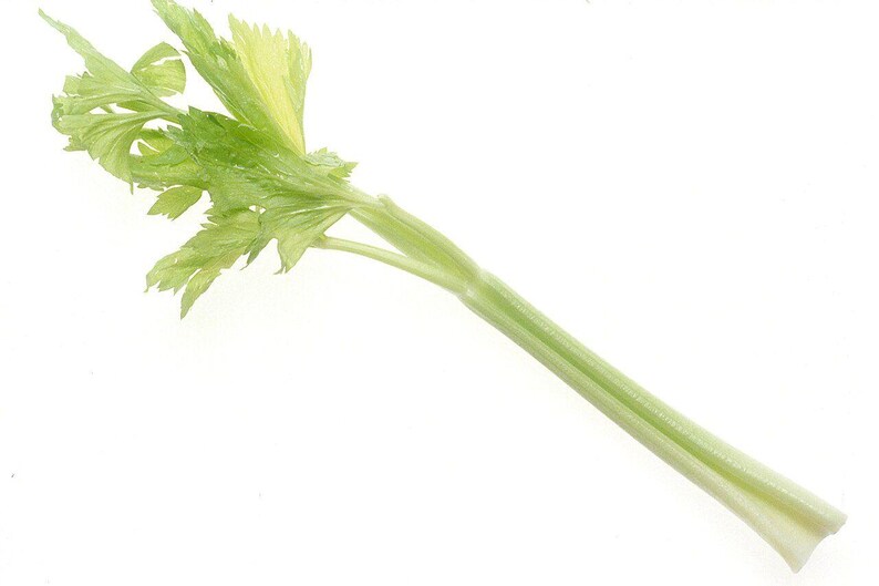 Oltre 500 semi di sedano alto dello Utah, Apium graveolens, sedano verde, ortaggio da giardino immagine 4