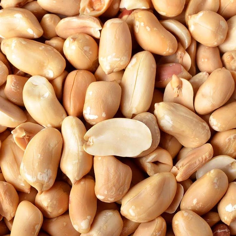 20-100 nasion orzeszków ziemnych, Arachis hypogaea, strączek ziemny zdjęcie 9