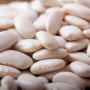 10+ semi di fagioli Rajma bianchi, Phaseolus vulgaris, fagioli rossi bianchi, Rajma indiano immagine 5