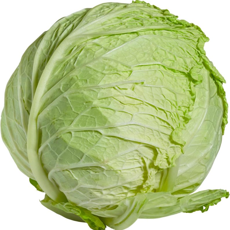 100+ Cabbage Express Seeds, Brassica oleracea, Crucifers image 2
