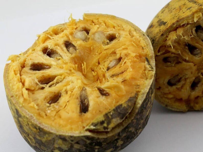 Pu&ograve; includere: Un frutto di bael tagliato a met&agrave; che mostra una polpa fibrosa giallo oro con semi incorporati. La buccia esterna &egrave; un guscio legnoso e strutturato di colore giallo brunastro. Una seconda porzione del frutto &egrave; visibile sullo sfondo, mostrando la stessa struttura interna e una spessa pelle protettiva.