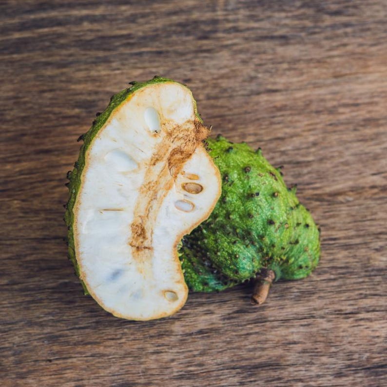 5 à 10 graines de corossol, Annona muricata, Graviola, Guanabana, pawpaw brésilien, graines d'arbre fruitier tropical image 7