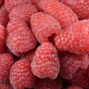 100-300-1500 graines de framboise géante Maroseika, Rubus idaeus, framboise Maroseika, gros fruit, graines de framboise de jardin image 1
