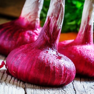 Oltre 50 semi di cipolla rossa selezionati, Allium cepa, cipolla a bulbo rosso, cipolla viola immagine 5