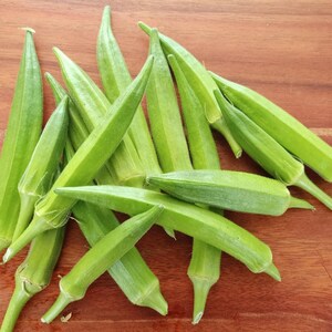 15+ Durgesh Nandani Okra Seeds, Abelmoschus esculentus, Bhindi, Indian Lady Finger image 2