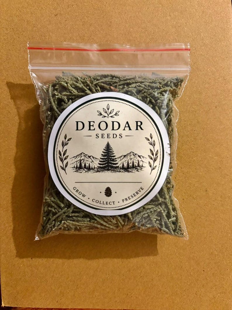 May include: A clear plastic resealable bag filled with dried green Deodar cedar needles. A circular white label on the front features black text reading DEODAR SEEDS, GROW COLLECT PRESERVE, and a graphic illustration of a mountain range and pine tree.
