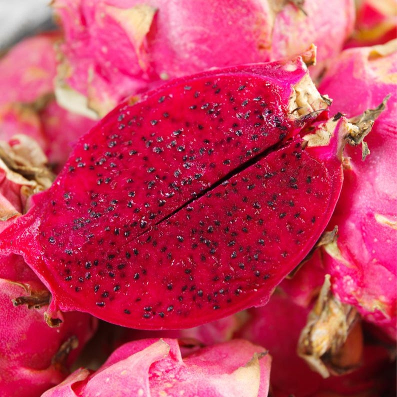 50-100 Red Dragon Fruit Seeds, Red Flesh Pitaya, Hylocereus polyrhizus, Exotic Tropical Cactus image 8