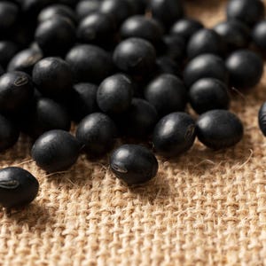 Más de 10 semillas de soja Kala Bhatt, Glycine max, soja negra del Himalaya, Pahari Bhatt imagen 1