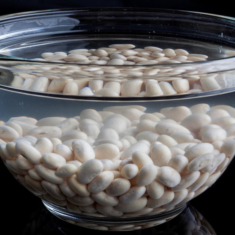 10+ semi di fagioli Rajma bianchi, Phaseolus vulgaris, fagioli rossi bianchi, Rajma indiano immagine 4