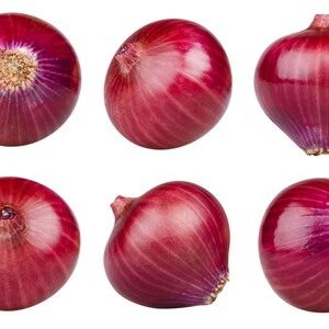 Pu&ograve; includere: Sei cipolle rosse intere mostrate da varie angolazioni su uno sfondo bianco. Ogni cipolla presenta una buccia liscia di colore rosso porpora intenso con striature verticali visibili e una piccola radice o stelo essiccato.