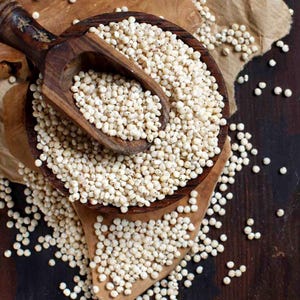 50-300 semillas de sorgo, Sorghum bicolor, grano antiguo, mijo imagen 2