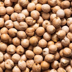 白ひよこ豆の種子、Cicer arietinum、Kabuli Chana Vegetable 25-100 画像 7