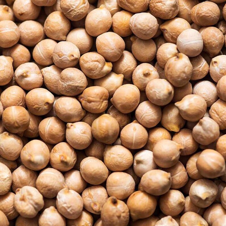 白ひよこ豆の種子、Cicer arietinum、Kabuli Chana Vegetable 25-100 画像 7
