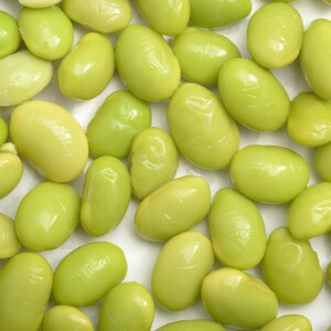 10-30 semillas de edamame, Glycine max, soja verde. imagen 8