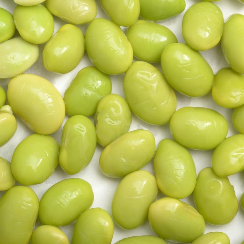 10-30 semillas de edamame, Glycine max, soja verde. imagen 8