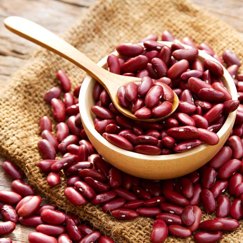 10-30 semillas de frijol rajma rojo, Phaseolus vulgaris, verdura de frijol. imagen 10