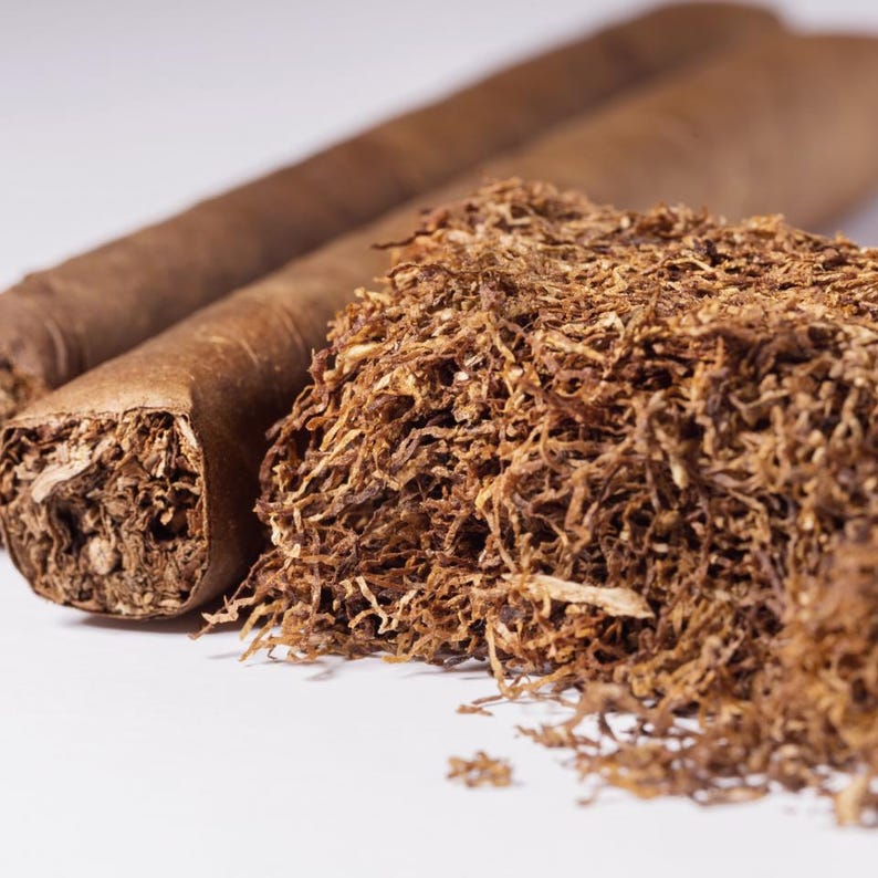 50-300 semillas de tabaco Virginia Gold Poland, Nicotiana tabacum imagen 3