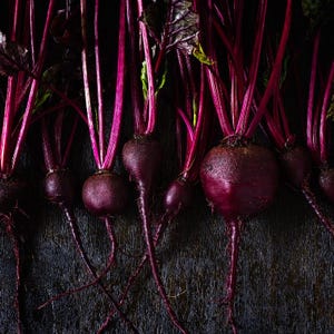 Ponad 100 nasion buraka ćwikłowego rubinowego, Beta vulgaris, warzywo korzeniowe zdjęcie 10