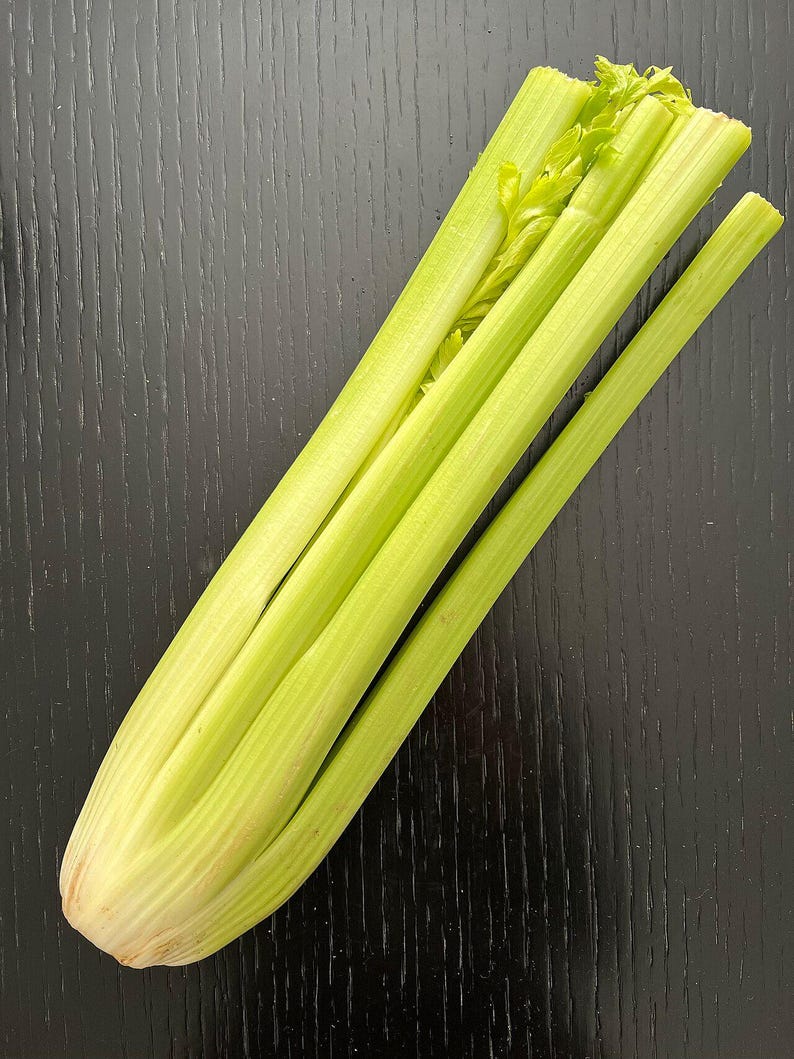 Oltre 500 semi di sedano alto dello Utah, Apium graveolens, sedano verde, ortaggio da giardino immagine 5