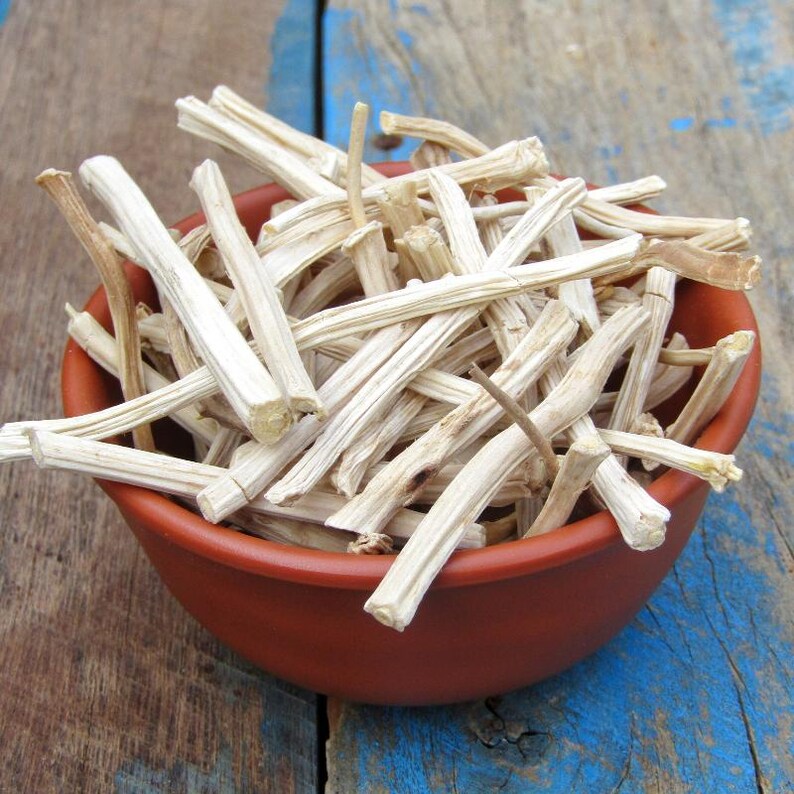 30-100 Shatavari Seeds, Asparagus Racemosus, Satavar, Wild Asparagus, Indian Asparagus, Herb Seeds image 7