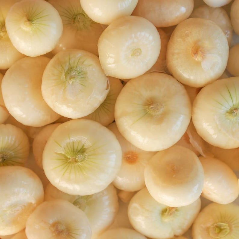 50+ White Onion Seeds, Allium cepa, Garden Vegetable image 3