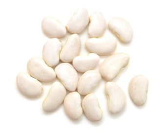 Más de 15 semillas pequeñas de haba lima, Phaseolus lunatus, haba lima baby, haba mantequilla