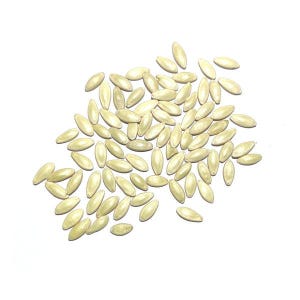 Puede incluir: Una colecci&oacute;n de numerosas semillas de color beige claro y forma ovalada esparcidas sobre una superficie blanca lisa. Cada semilla presenta una textura suave y ligeramente puntiaguda con un color p&aacute;lido uniforme, t&iacute;pico de las semillas.