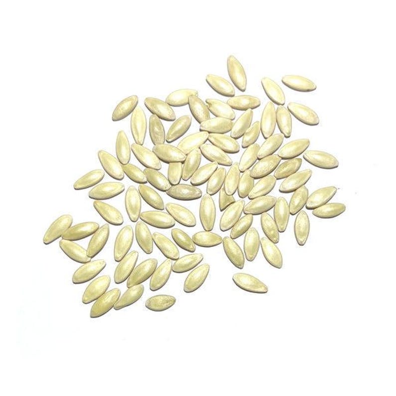 Puede incluir: Una colecci&oacute;n de numerosas semillas de color beige claro y forma ovalada esparcidas sobre una superficie blanca lisa. Cada semilla presenta una textura suave y ligeramente puntiaguda con un color p&aacute;lido uniforme, t&iacute;pico de las semillas.