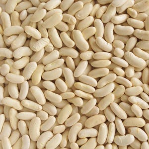 10-30 Himalaya Munsyari Rajma Samen, Phaseolus vulgaris, Weiße und gelbe Kidneybohnen Bild 6