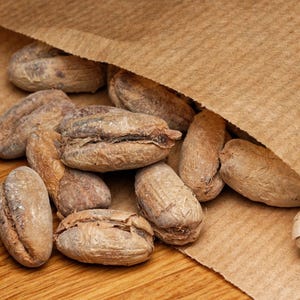 May include: A collection of light brown, oval-shaped dried cocoa beans spilling out from a textured, tan-coloured paper bag. The beans have a wrinkled, matte surface with visible dark brown crevices and a fibrous, dry texture throughout the pile.