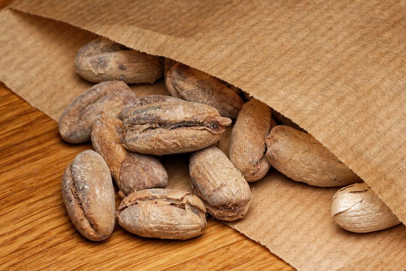May include: A collection of light brown, oval-shaped dried cocoa beans spilling out from a textured, tan-coloured paper bag. The beans have a wrinkled, matte surface with visible dark brown crevices and a fibrous, dry texture throughout the pile.