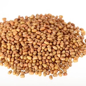 Puede incluir: Un mont&oacute;n de peque&ntilde;as semillas de frijol de polilla de forma ovalada, con una superficie lisa de color marr&oacute;n claro a beige. Las legumbres son uniformes en tama&ntilde;o y textura, agrupadas en un mont&iacute;culo denso e irregular.