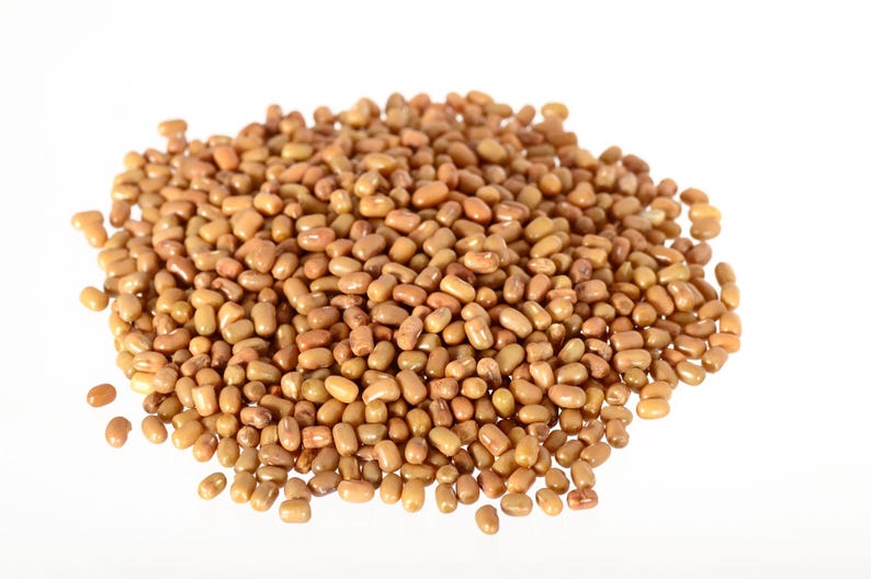 Puede incluir: Un mont&oacute;n de peque&ntilde;as semillas de frijol de polilla de forma ovalada, con una superficie lisa de color marr&oacute;n claro a beige. Las legumbres son uniformes en tama&ntilde;o y textura, agrupadas en un mont&iacute;culo denso e irregular.