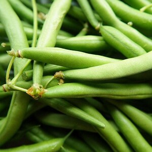 K&ouml;nnte beinhalten: Ein gro&szlig;er Haufen frischer gr&uuml;ner Bohnen, jede mit einer glatten, l&auml;nglichen und zylindrischen H&uuml;lsenform in einem leuchtenden Hell- bis Mittelgr&uuml;n. Die Bohnen liegen dicht beieinander und zeigen ihre nat&uuml;rliche Textur und Stielans&auml;tze.