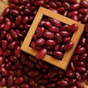 10-30 semillas de frijol rajma rojo, Phaseolus vulgaris, verdura de frijol. imagen 5