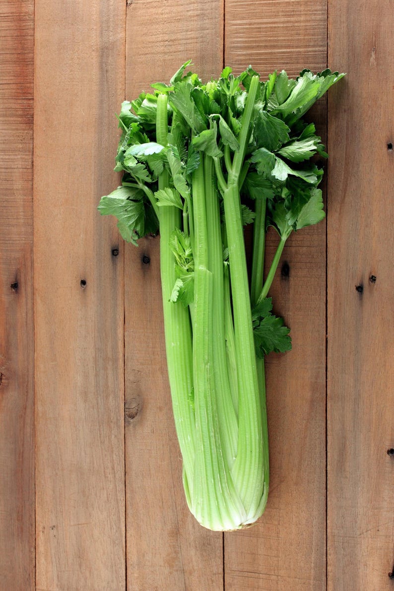 Pu&ograve; includere: Un mazzo di sedano fresco caratterizzato da lunghi gambi croccanti di colore verde chiaro e foglie di un verde vivace. L'ortaggio &egrave; composto da pi&ugrave; steli collegati che si restringono verso la base, mostrando una consistenza fibrosa e naturale.