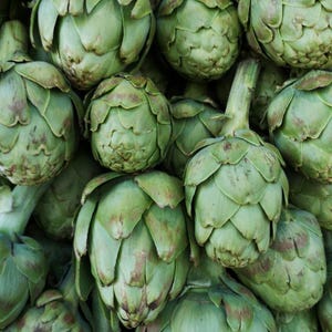 30+ Samen der Grünen Artischocke (Cynara scolymus, Grüne Artischocke, Grüne Knospen) Bild 4