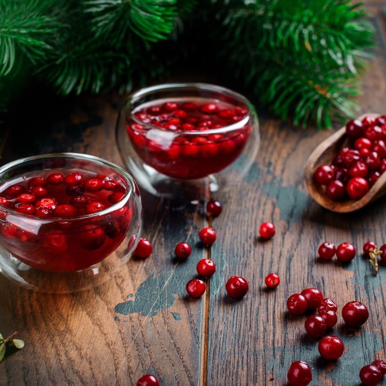 30-100 nasion żurawiny, Vaccinium macrocarpon, żurawina amerykańska, roślina o czerwonych jagodach zdjęcie 6