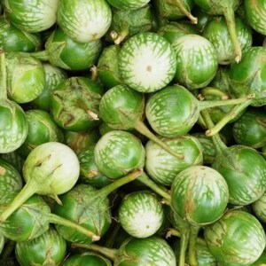 Más de 20 semillas de berenjena sin espinas, Solanum melongena, berenjena morada. imagen 9
