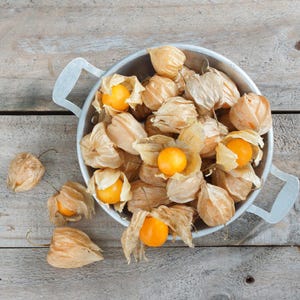 Más de 30 semillas de uchuva, Physalis peruviana, grosella del Cabo, fruto amarillo imagen 6