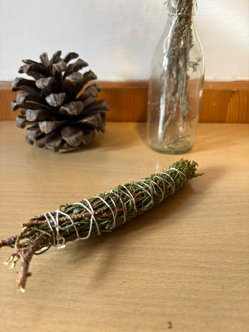 May include: A bundle of dried green cedar needles and small twigs wrapped tightly with thin white string. The bundle is positioned horizontally in the foreground, with a brown pinecone and a clear glass bottle containing dried stems behind it.