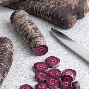 Puede incluir: Varias zanahorias moradas enteras con piel oscura y texturizada, junto a una zanahoria cortada en rodajas. Las secciones transversales revelan un anillo exterior morado oscuro con un centro magenta brillante. Un cuchillo de cocina plateado est&aacute; al lado.