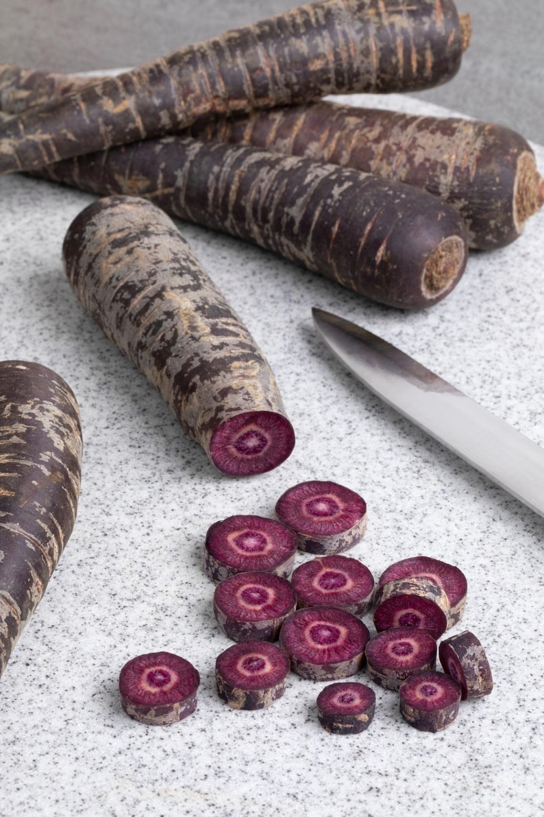 Puede incluir: Varias zanahorias moradas enteras con piel oscura y texturizada, junto a una zanahoria cortada en rodajas. Las secciones transversales revelan un anillo exterior morado oscuro con un centro magenta brillante. Un cuchillo de cocina plateado est&aacute; al lado.
