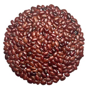 10-30 Jammu Rajma Bean Seeds, Phaseolus vulgaris, Bhaderwah Rajma, Himalayan Kidney Beans image 5