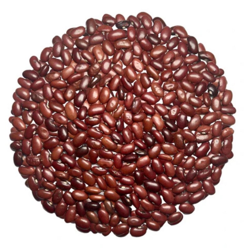 10-30 Jammu Rajma Bean Seeds, Phaseolus vulgaris, Bhaderwah Rajma, Himalayan Kidney Beans image 5
